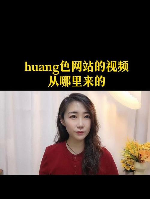 91精品久久久久久久久入的相关介绍